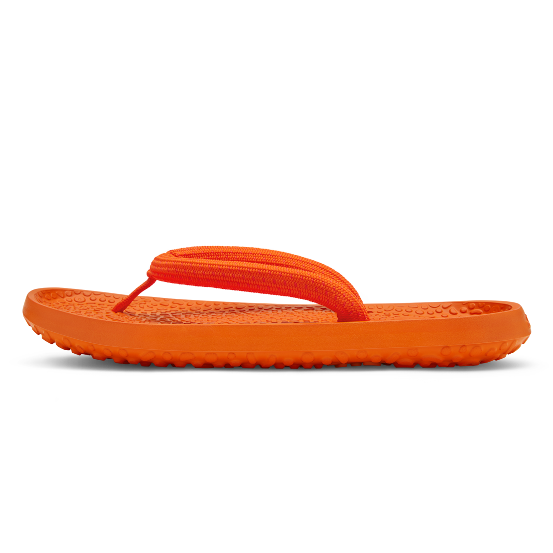 Sugar Zeffers - Main Image