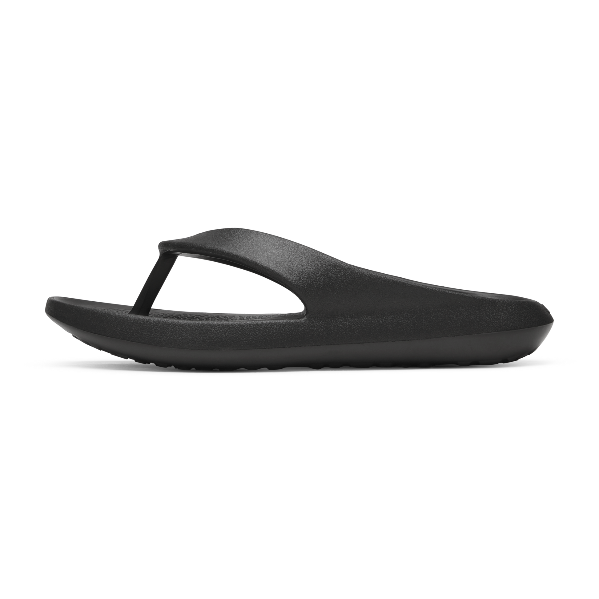 Sugar Zeffers 2 – Allbirds ReRun